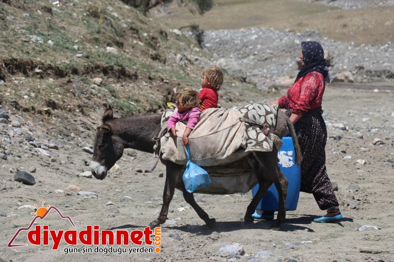 süt AĞRI  - eşek yolculuğu kadınların sırtında Göçer zorlu 1