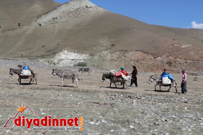 eşek yolculuğu sırtında Göçer süt zorlu -  kadınların AĞRI 2
