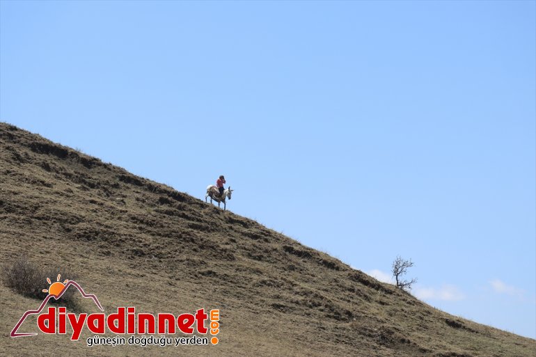 kadınların sırtında süt yolculuğu eşek AĞRI zorlu - Göçer  12