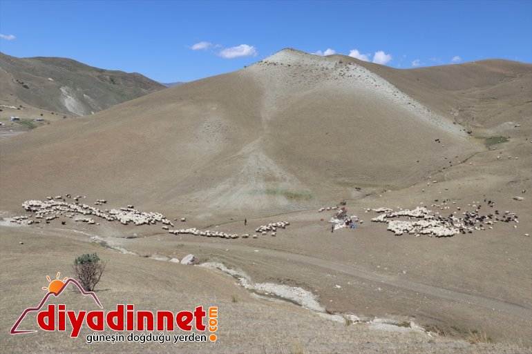 kadınların Göçer - sırtında  AĞRI yolculuğu zorlu eşek süt 13