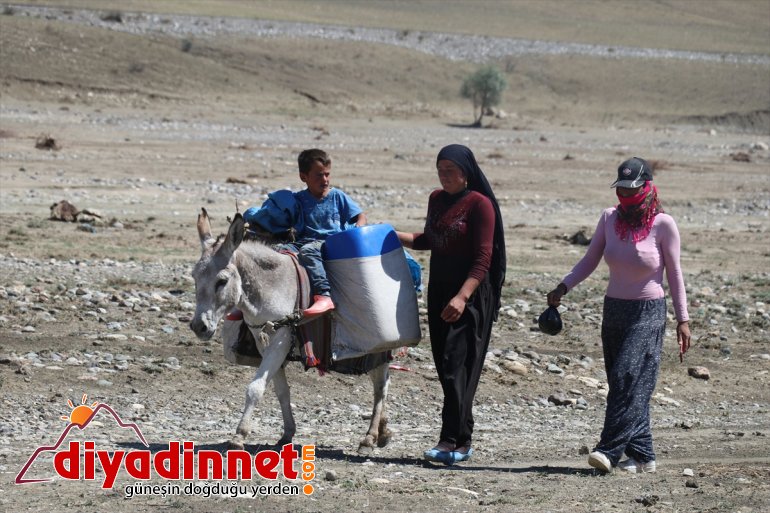 kadınların sırtında - yolculuğu Göçer  AĞRI zorlu süt eşek 14
