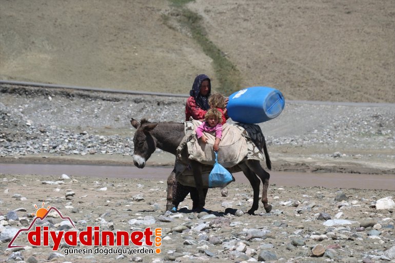 süt zorlu AĞRI yolculuğu eşek - Göçer  sırtında kadınların 15