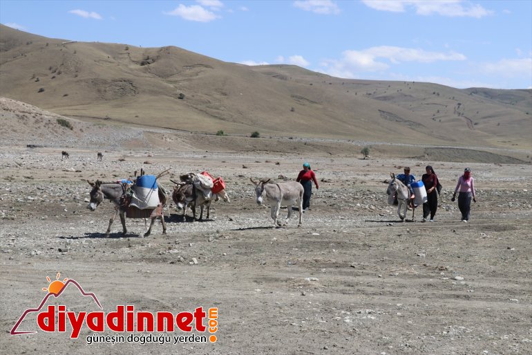 sırtında süt eşek - yolculuğu Göçer zorlu  AĞRI kadınların 17
