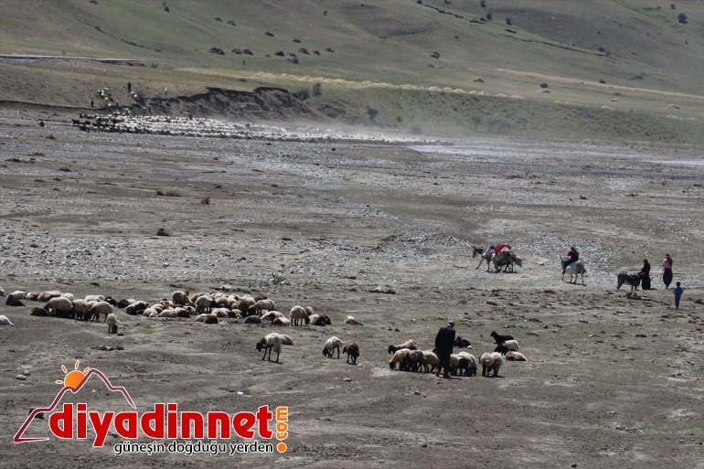 -  sırtında kadınların süt eşek zorlu Göçer yolculuğu AĞRI 4