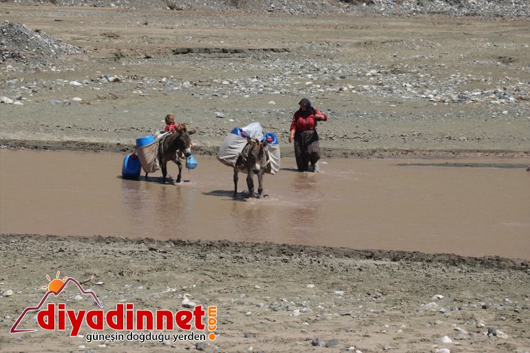 sırtında süt eşek - kadınların  yolculuğu zorlu Göçer AĞRI 6
