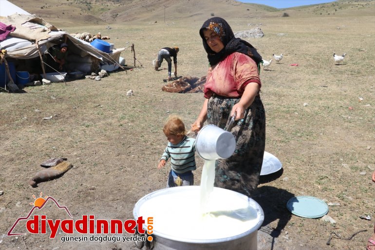 zorlu sırtında Göçer yolculuğu eşek AĞRI - kadınların  süt 7