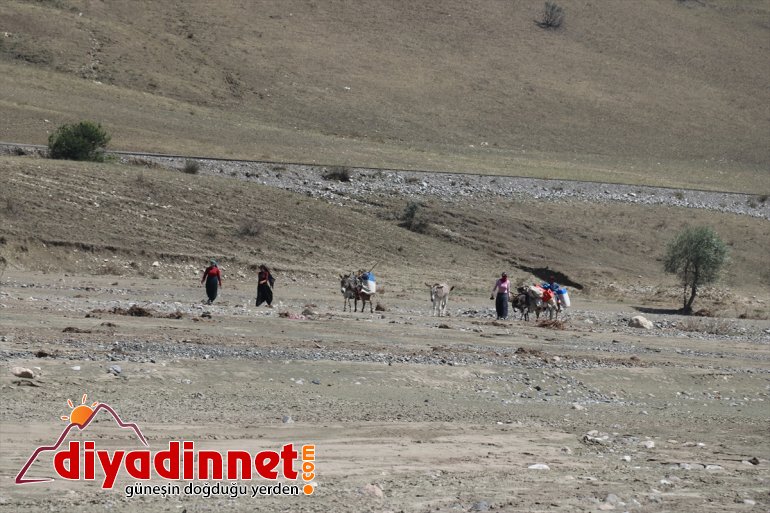  eşek yolculuğu Göçer kadınların AĞRI - zorlu süt sırtında 9