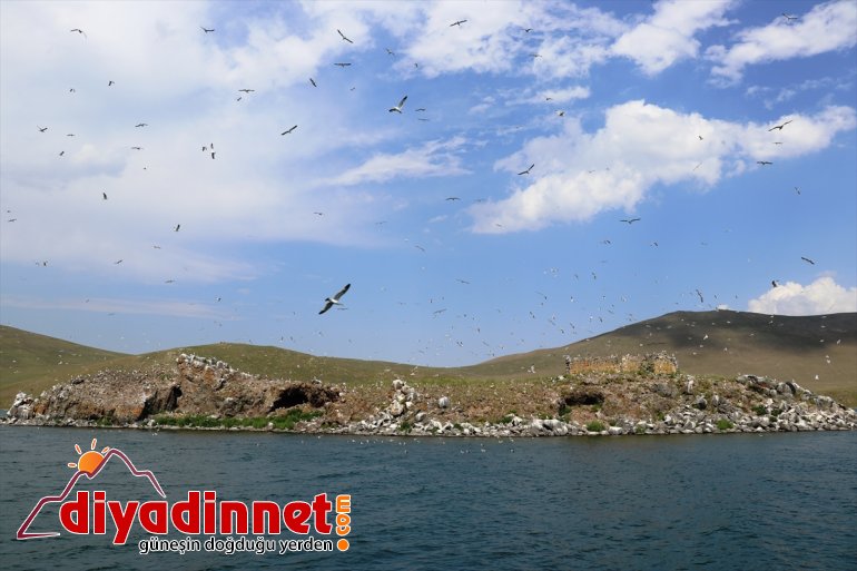 Gölü isteyenlerin uzaklaşmak gürültüsünden Şehrin AĞRI mekanı:  gözde Balık - 12