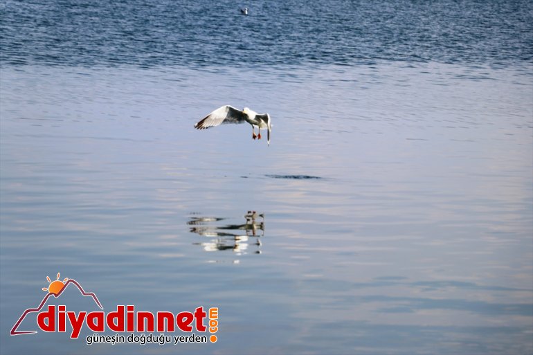Gölü mekanı: Şehrin uzaklaşmak Balık gürültüsünden  - gözde AĞRI isteyenlerin 6