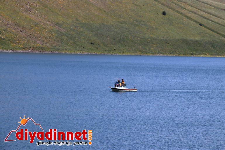  Gölü Şehrin isteyenlerin uzaklaşmak gürültüsünden mekanı: AĞRI Balık - gözde 7