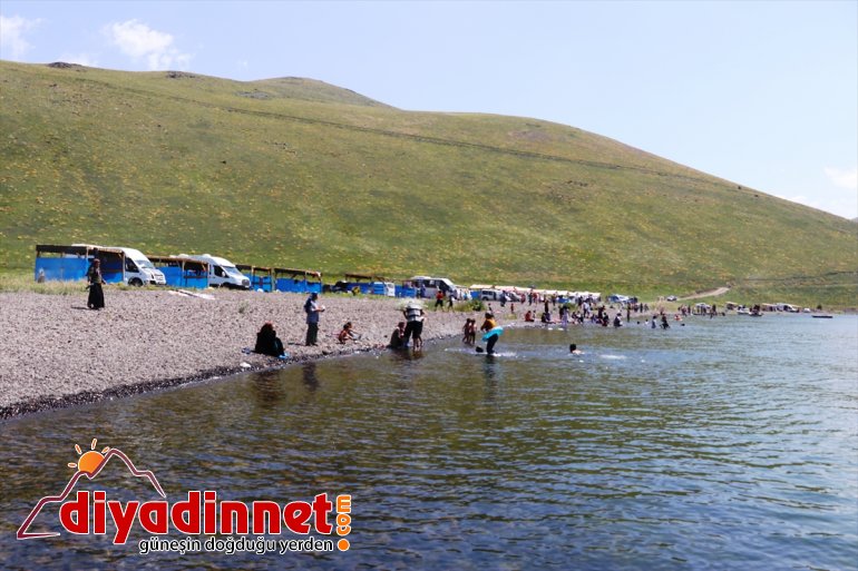 - Gölü mekanı: AĞRI Balık gözde isteyenlerin uzaklaşmak  gürültüsünden Şehrin 8