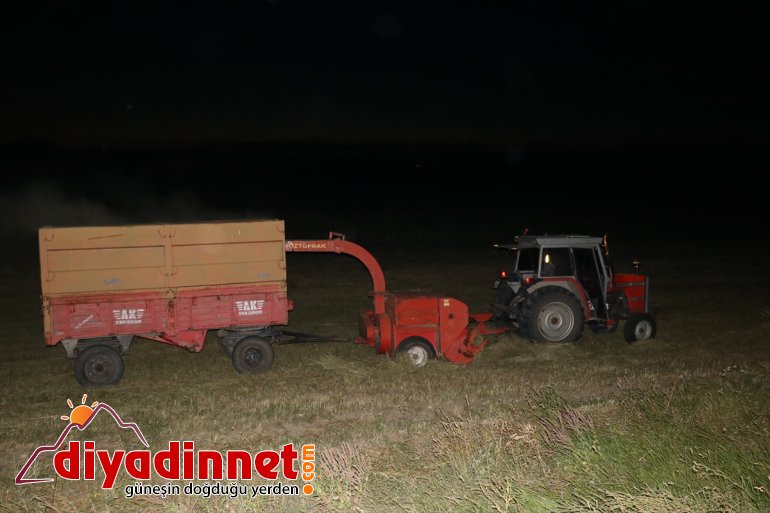 yapıyor bunalan hasatlarını - gece  Sıcaktan çiftçiler AĞRI 2