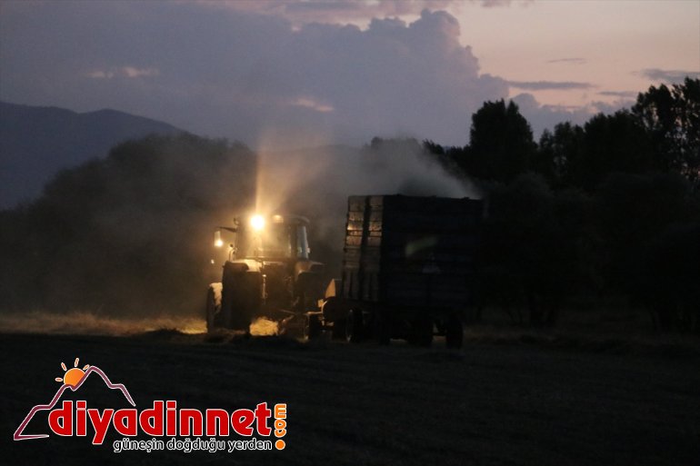 - bunalan çiftçiler hasatlarını  Sıcaktan AĞRI gece yapıyor 3