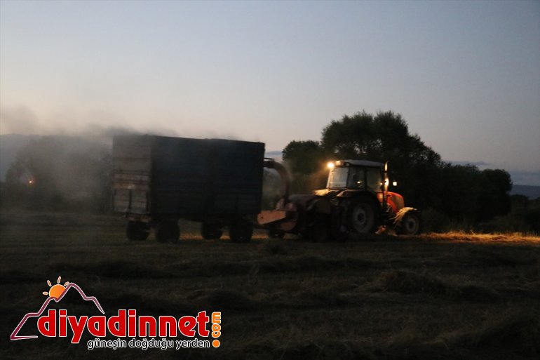 hasatlarını Sıcaktan çiftçiler - yapıyor bunalan AĞRI  gece 4