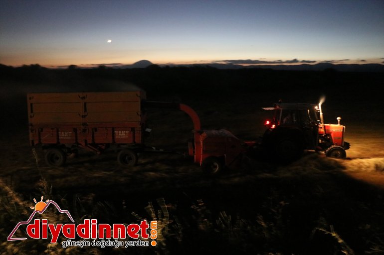 - yapıyor AĞRI çiftçiler bunalan gece Sıcaktan  hasatlarını 5