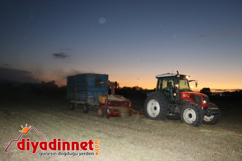 hasatlarını bunalan  Sıcaktan AĞRI yapıyor gece çiftçiler - 8