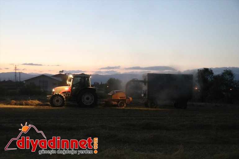 AĞRI gece bunalan hasatlarını  Sıcaktan çiftçiler yapıyor - 9