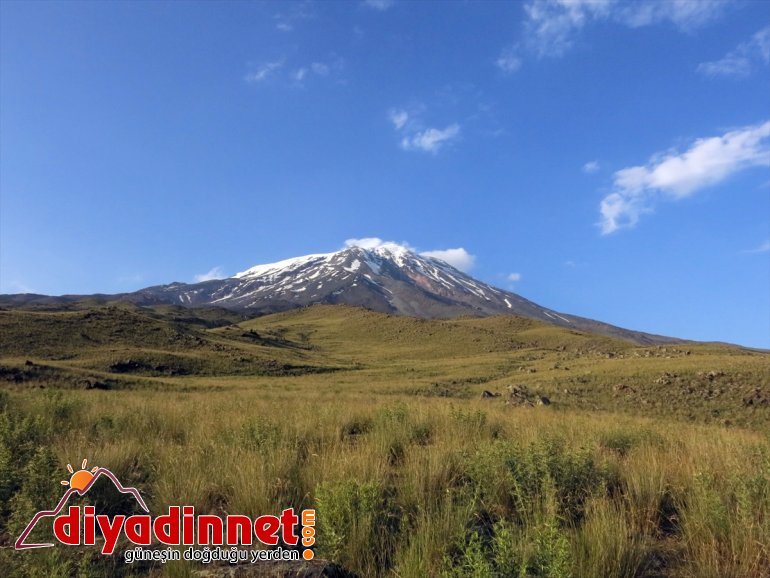 birlikte yaşıyor kutup iklimini ve Türkiye