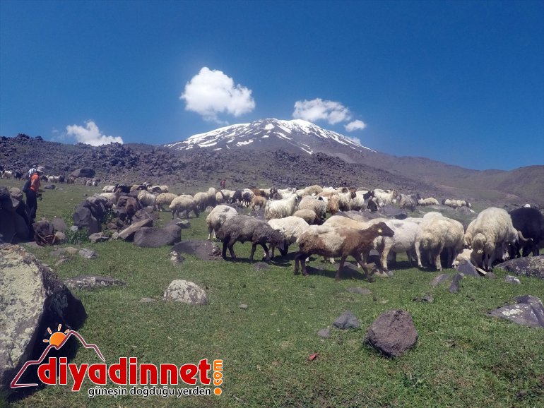 ve - çöl iklimini kutup çatısı yaşıyor AĞRI Türkiye