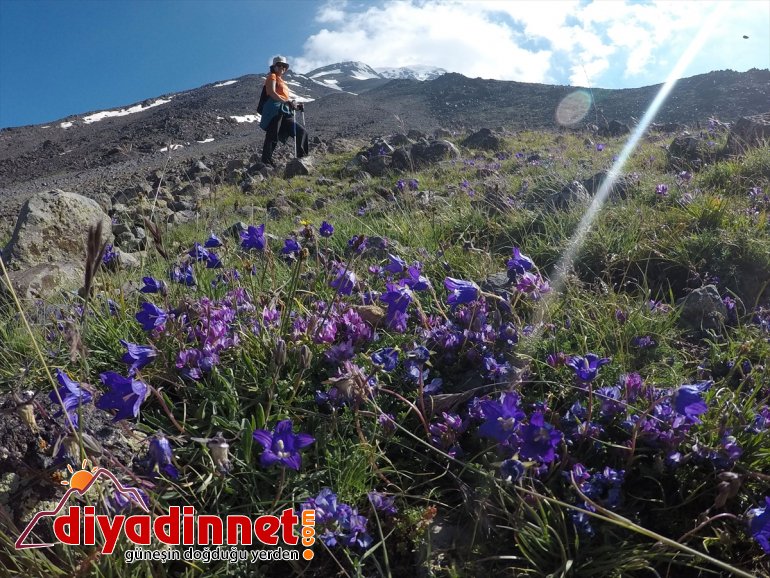 birlikte ve iklimini yaşıyor çatısı AĞRI kutup Türkiye