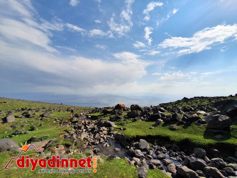 kutup AĞRI yaşıyor iklimini çatısı çöl Türkiye