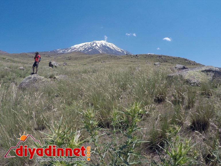 ve yaşıyor Türkiye