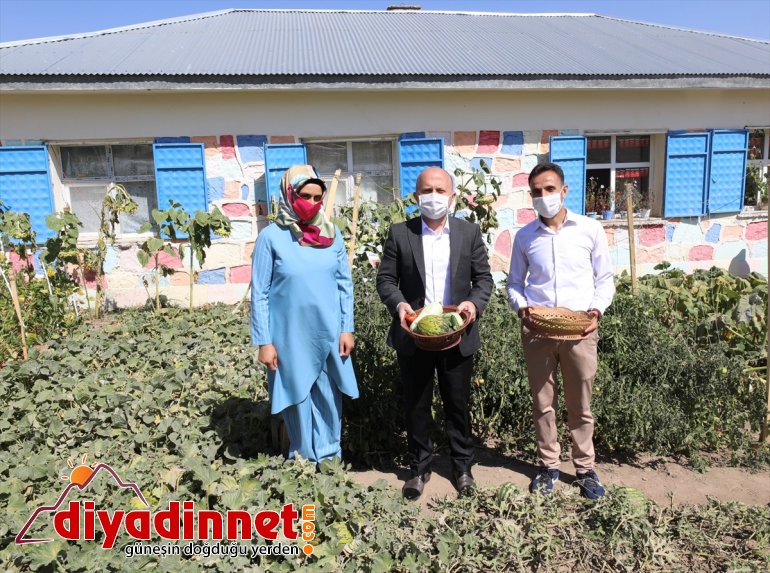 Ağrı Valisi, dağ köyünde okulun ihtiyaçları için sebze üreten öğretmen çiftle hasat yaptı