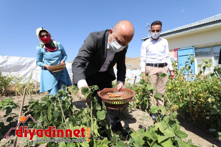 yaptı Ağrı hasat Valisi, dağ okulun köyünde öğretmen sebze çiftle için üreten ihtiyaçları 5