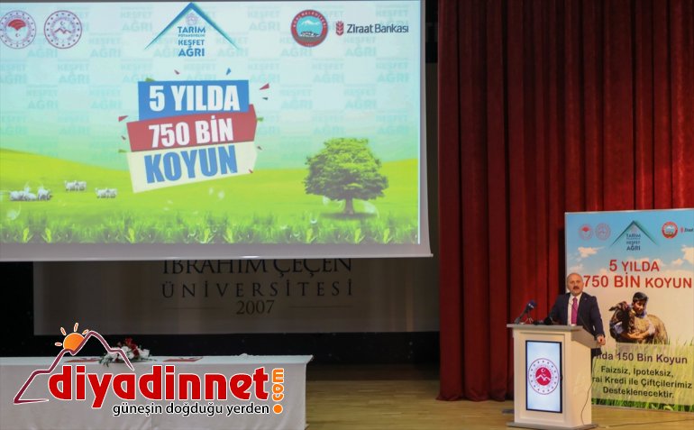 koyun yılda 5 verilecek bin Ağrı