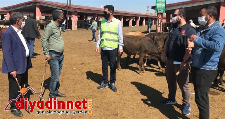 15 karantina kuralını Ağrı