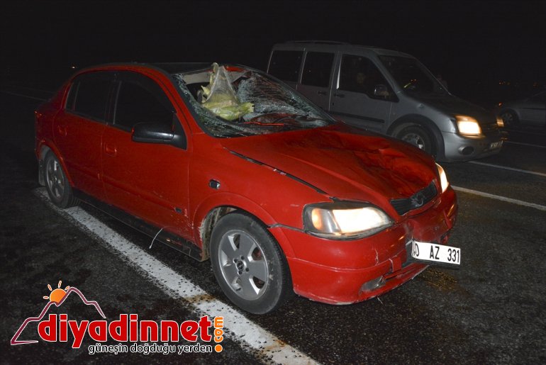 Ağrı'da otomobilin çarptığı kişi öldü