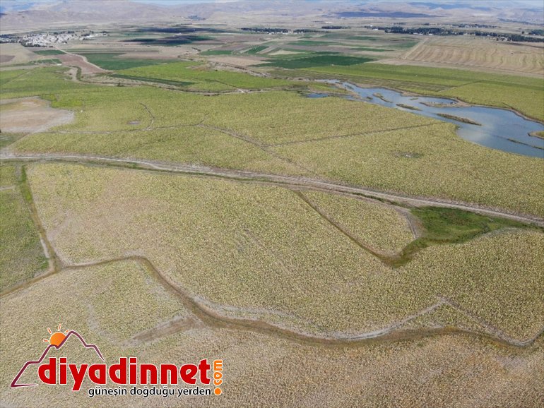 bereketi işçilerin Ağrı