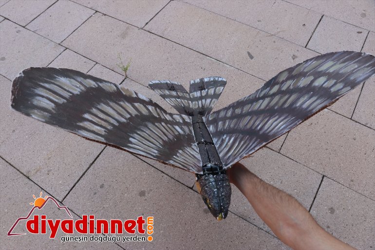 sergilenecek robot kuş ürettiği Ağrı