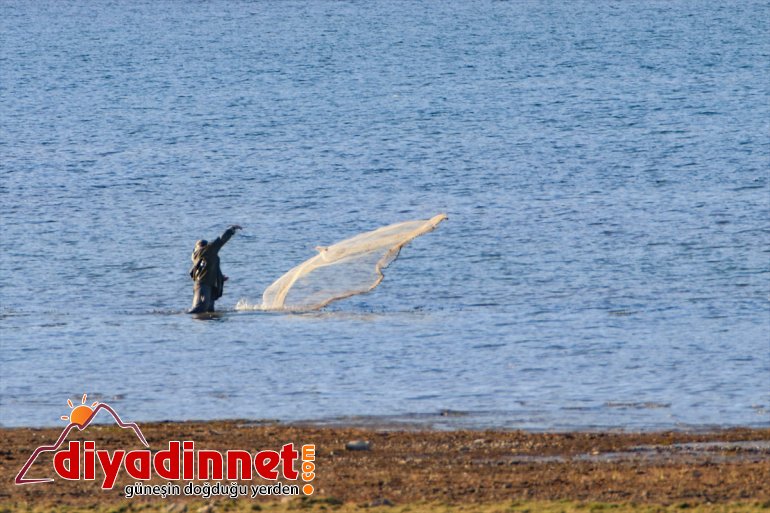 haline Balık ilgi sunduğu geldi güzellikleriyle IĞDIR - Gölü odağı bölgenin 12