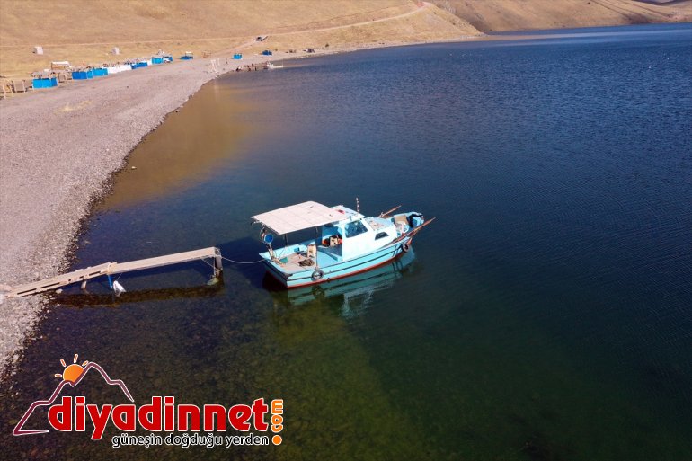 Balık güzellikleriyle IĞDIR haline Gölü sunduğu - bölgenin geldi ilgi odağı 13