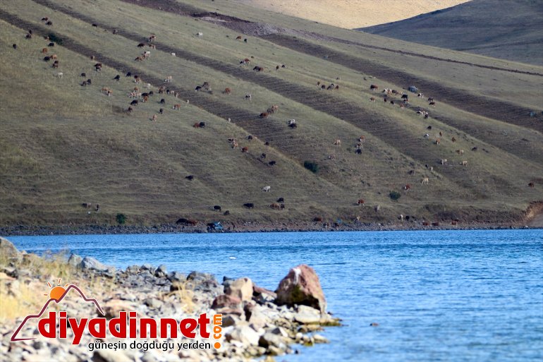 - bölgenin geldi sunduğu ilgi haline IĞDIR güzellikleriyle odağı Balık Gölü 3