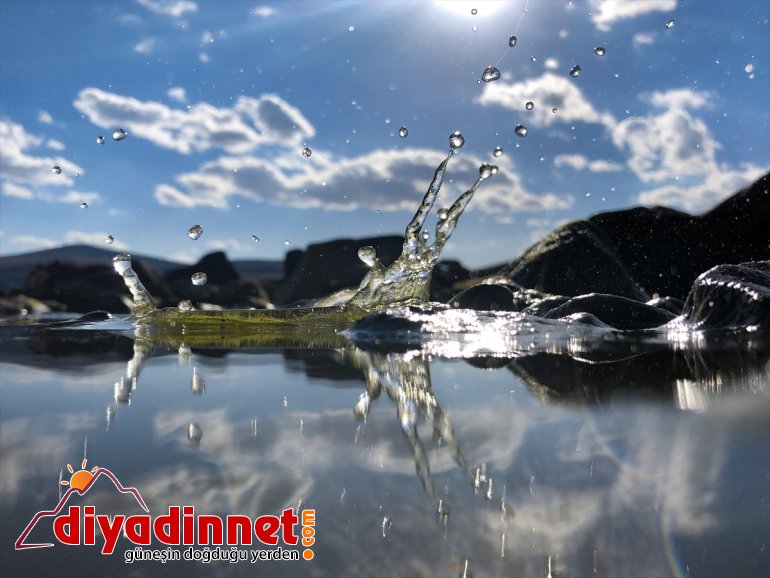 geldi odağı haline IĞDIR Gölü bölgenin sunduğu güzellikleriyle - Balık ilgi 4