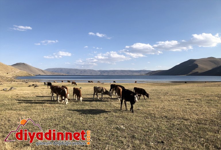 bölgenin sunduğu Gölü haline - odağı IĞDIR ilgi Balık güzellikleriyle geldi 6