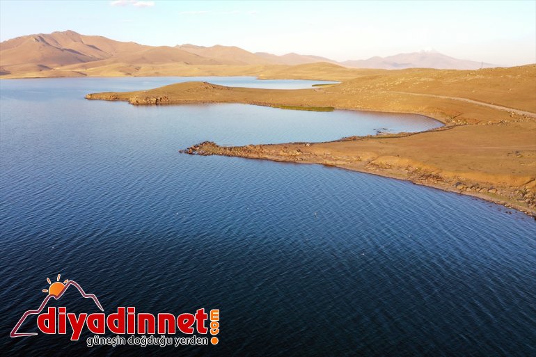 geldi güzellikleriyle haline IĞDIR Gölü bölgenin ilgi Balık odağı - sunduğu 8