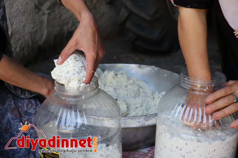 Doğal yollarla üretilen peynirler kışın tüketilmek üzere toprağa gömülüyor2