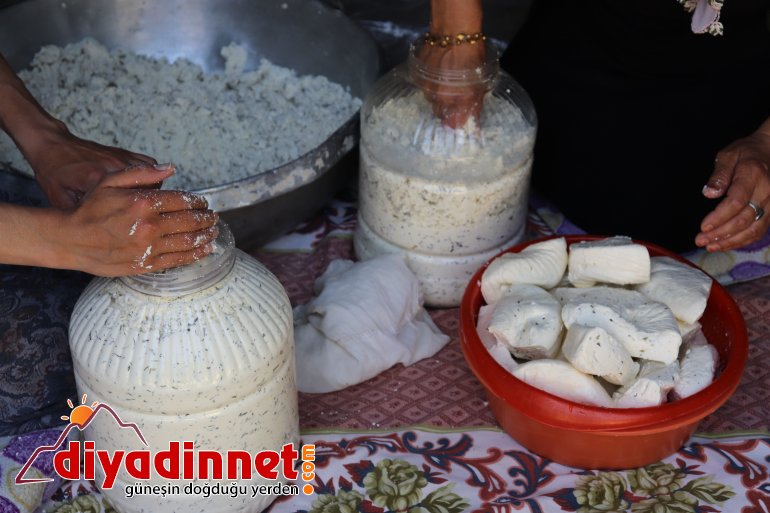 Doğal yollarla üretilen peynirler kışın tüketilmek üzere toprağa gömülüyor3