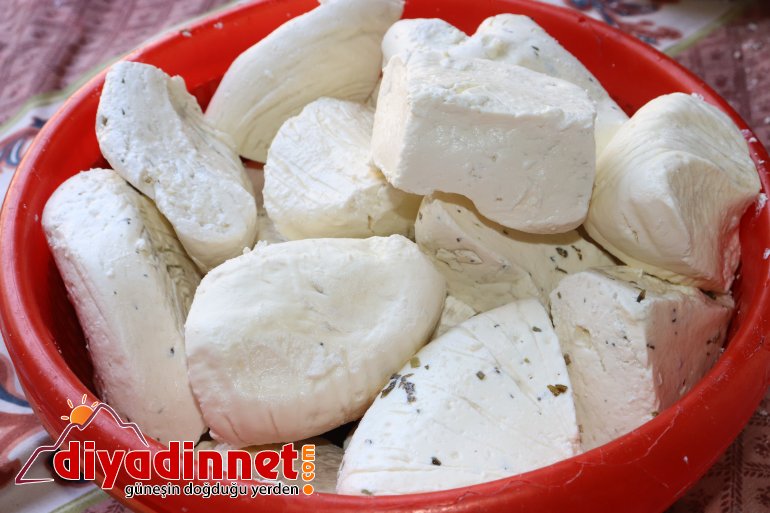 Doğal yollarla üretilen peynirler kışın tüketilmek üzere toprağa gömülüyor4