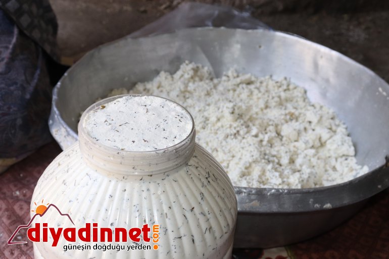 Doğal yollarla üretilen peynirler kışın tüketilmek üzere toprağa gömülüyor5
