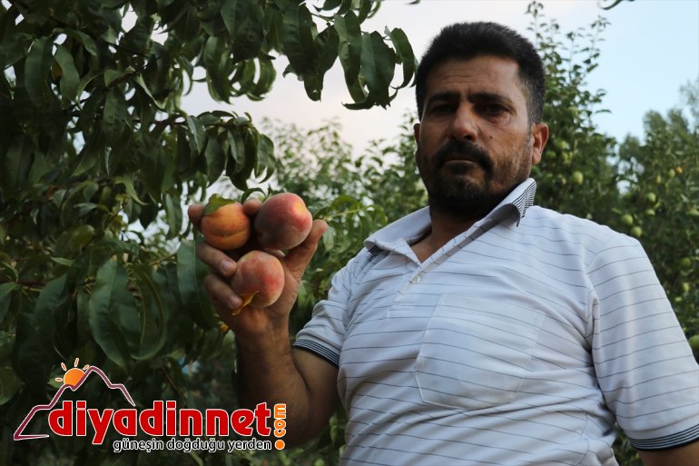 tonlarca yadigarı Devlet üretiyor baba desteğiyle meyve destekli) bahçesinde çeşitlendirdiği (Drone 6