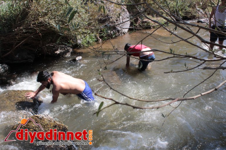 Olta ve ağ kullanmadan balık avlıyorlar7