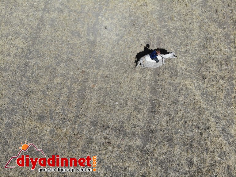 Doğu Yayla AĞRI dönüş göçerler tamamlayan - mesaisini yolunda Anadolu