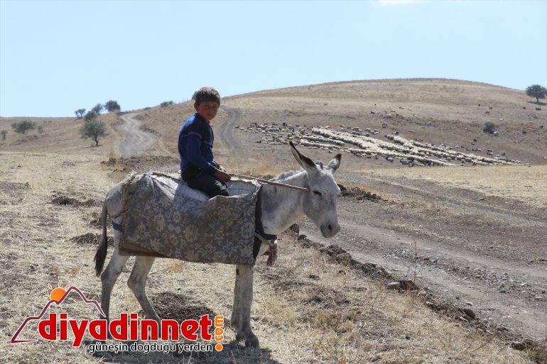 yolunda Doğu Yayla - dönüş mesaisini göçerler tamamlayan Anadolu
