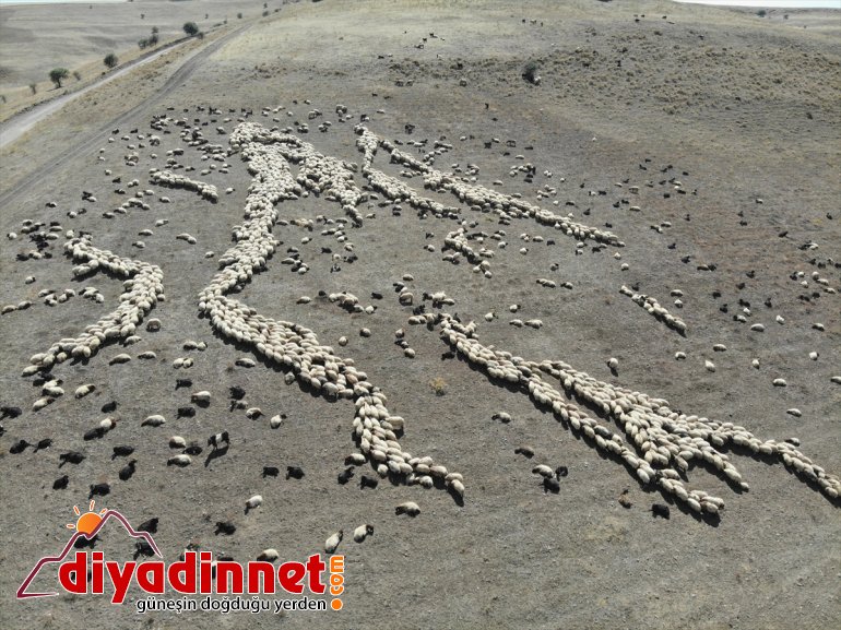 Doğu AĞRI yolunda Anadolu