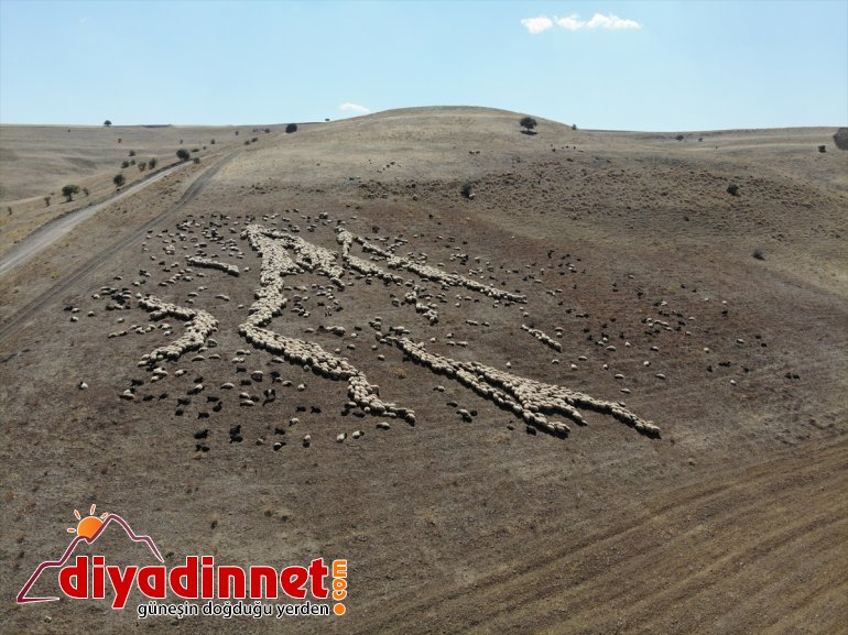 Doğu AĞRI - dönüş yolunda göçerler mesaisini Anadolu