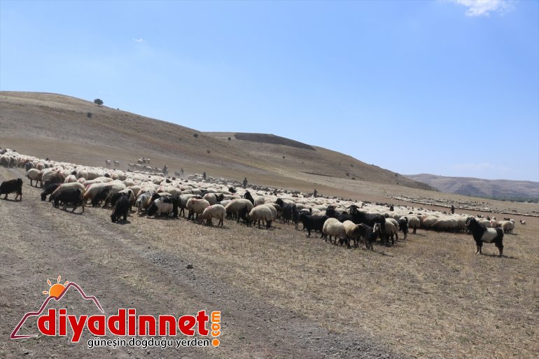 mesaisini Yayla Doğu Anadolu